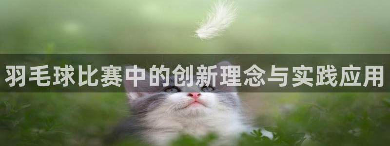 羽毛球比赛中的创新理念与实践应用