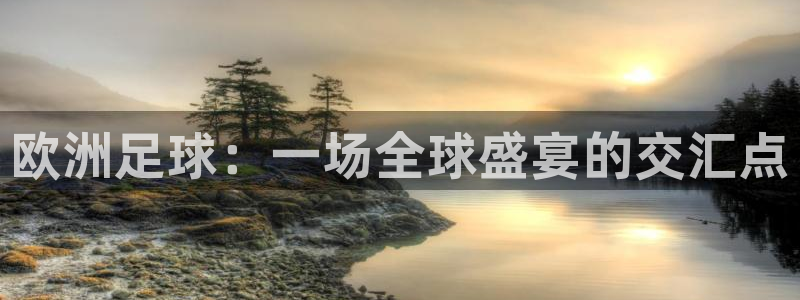 欧洲足球：一场全球盛宴的交汇点