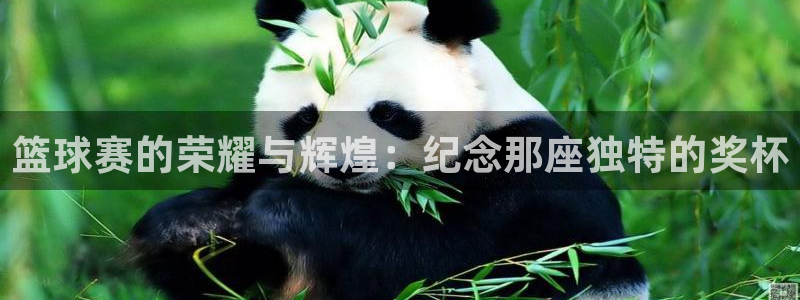 篮球赛的荣耀与辉煌：纪念那座独特的奖杯