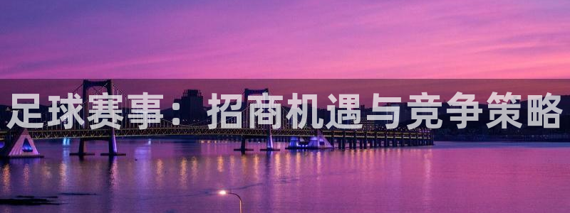 足球赛事：招商机遇与竞争策略