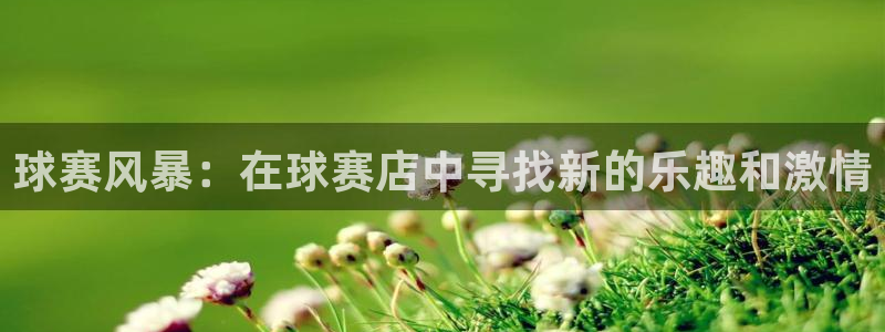 九游体育官网入口：球赛风暴：在球赛店中寻找新的乐趣和激情