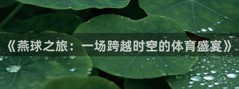 九游体育官网入口：《燕球之旅：一场跨越时空的体育盛宴》