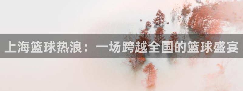 九游体育游戏：上海篮球热浪：一场跨越全国的篮球盛宴