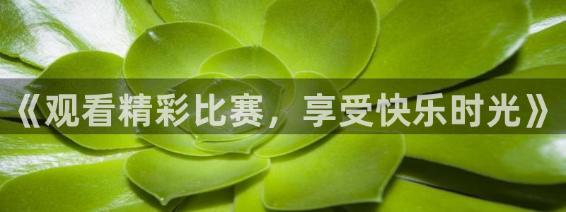 九游体育下载：《观看精彩比赛，享受快乐时光》